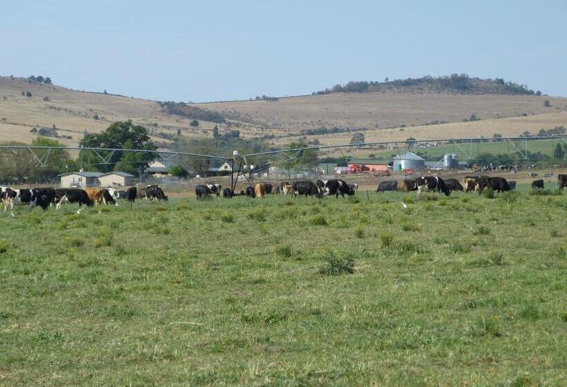 فندق Milky Lane Cottage