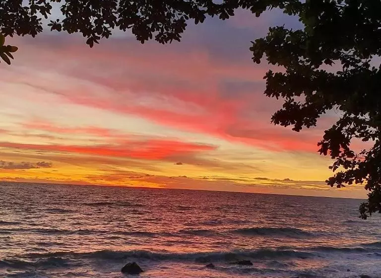 Hotelli Penny S Resort