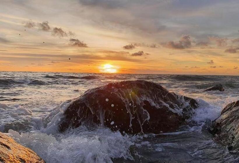 فندق Penny S Resort