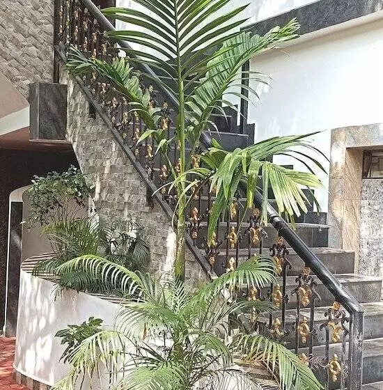 Hotelli Spicy Bella Resort