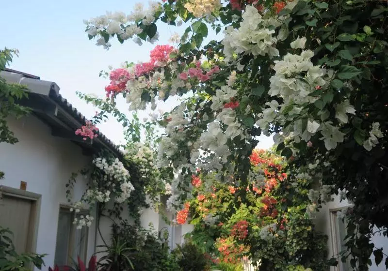 هتل Sunshine Bungalow