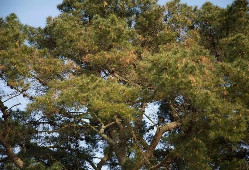 51 Lytchett Bay View, 3 Bed, Rockley Park Poole