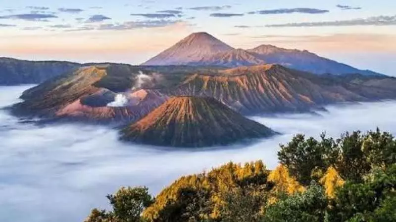 تختخواب و صبحانه Ijen Crater Climb Base Camp