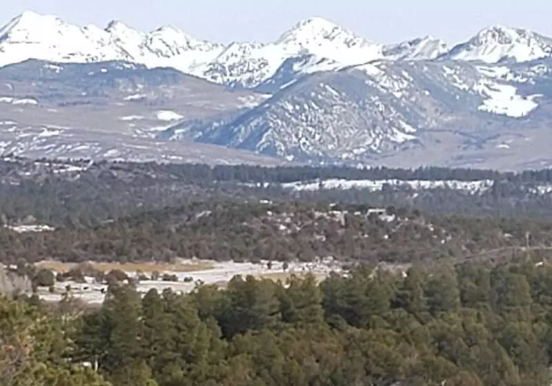 Starry Nights Ranch Bed & Breakfast