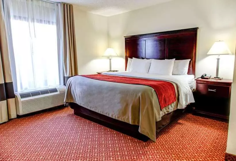 호텔 Comfort Inn Birmingham Homewood