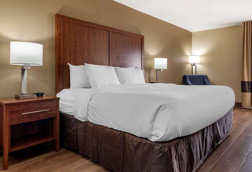 فندق Comfort Inn Birmingham Homewood