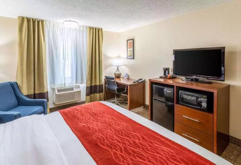 酒店 Comfort Inn