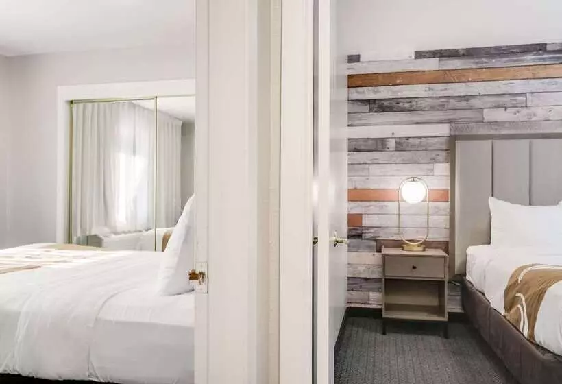 ホテル Quality Inn South Lake Tahoe