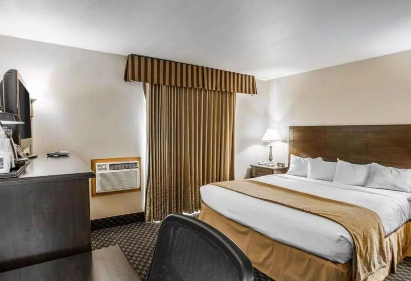 Quality Inn & Suites Hotel Seattle Center