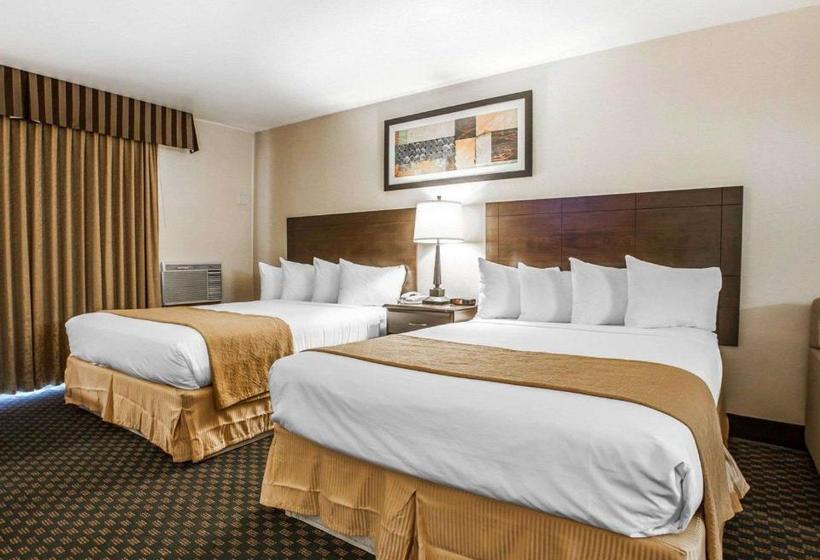 Quality Inn & Suites Hotel Seattle Center