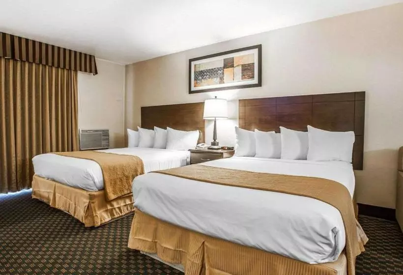 Quality Inn & Suites Hotel Seattle Center