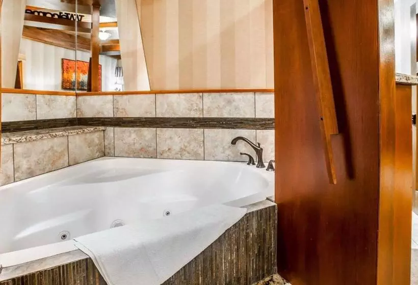 Quality Inn & Suites Hotel Seattle Center