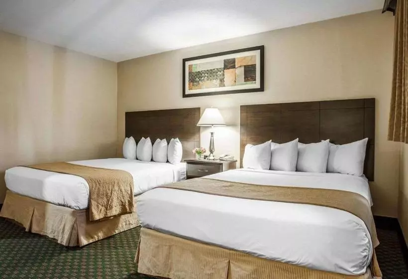 Quality Inn & Suites Hotel Seattle Center