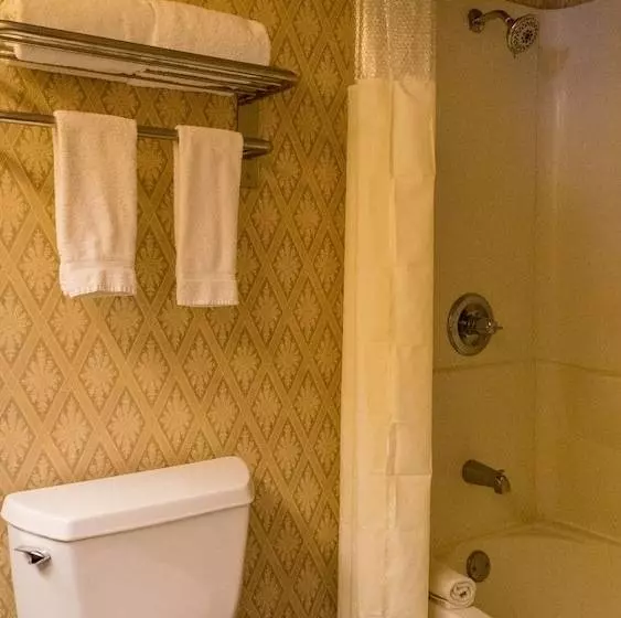 בית מלון כפרי Sam S Town Tunica