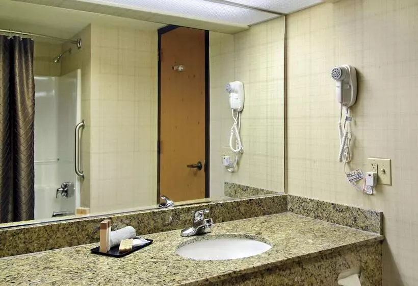 בית מלון כפרי Sam S Town Tunica