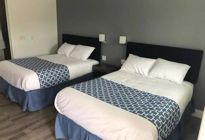 בית מלון כפרי The Coast