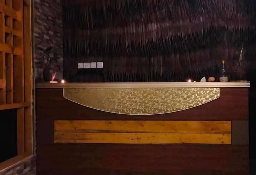 膳宿费 White Tern Maldives