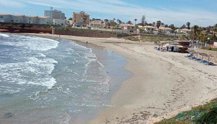 Front Line           Primera Línea           Apartments In Playa Flamenca