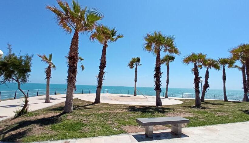 Front Line           Primera Línea           Apartments In Playa Flamenca