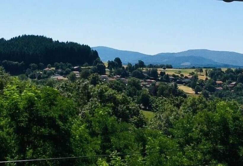 ペンション Au Vieux Logis 63