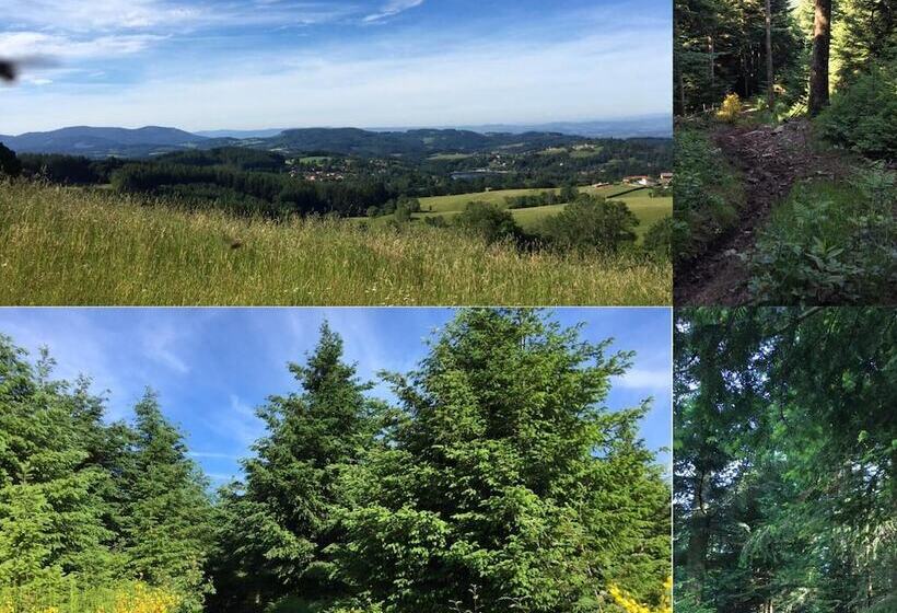 ペンション Au Vieux Logis 63