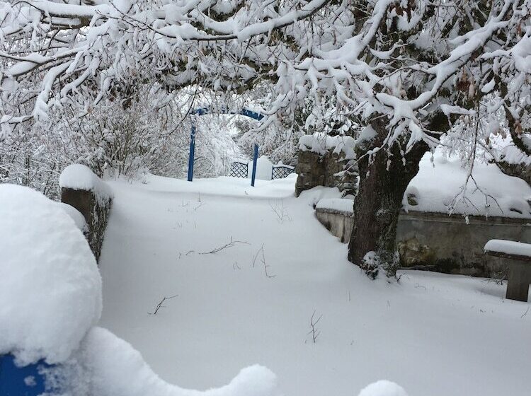 ペンション Au Vieux Logis 63