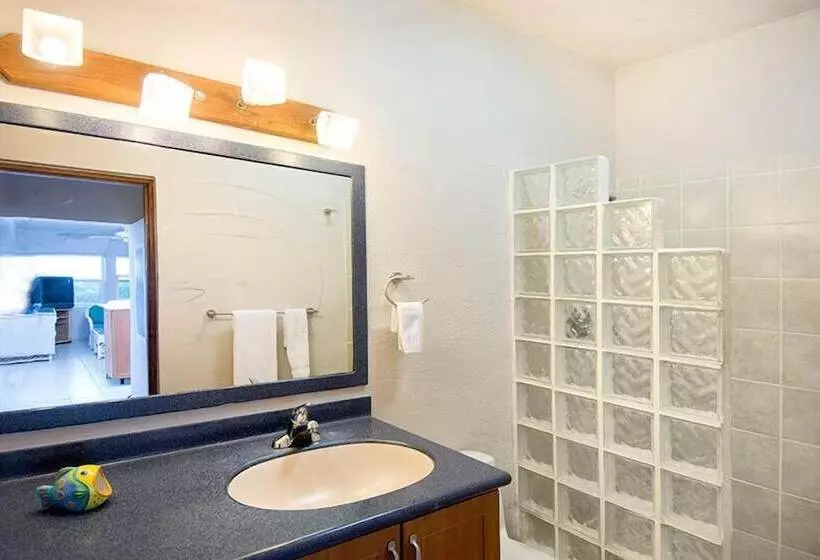 Arcadia By Island Properties Online