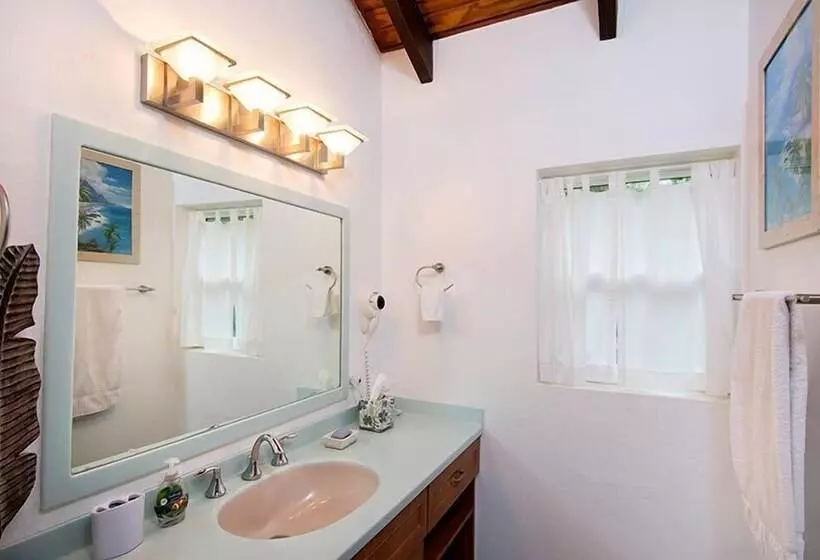 Arcadia By Island Properties Online