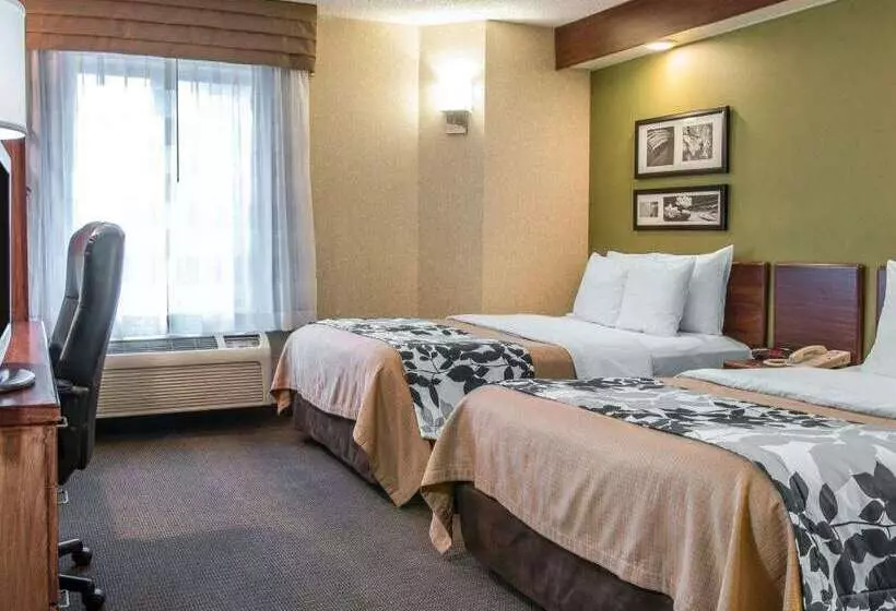 酒店 Baymont By Wyndham Flat Rock