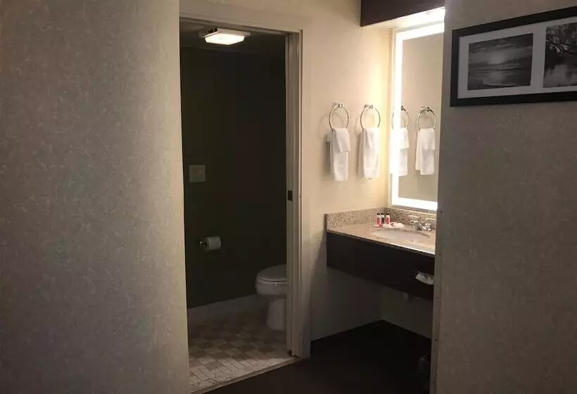 酒店 Baymont By Wyndham Flat Rock