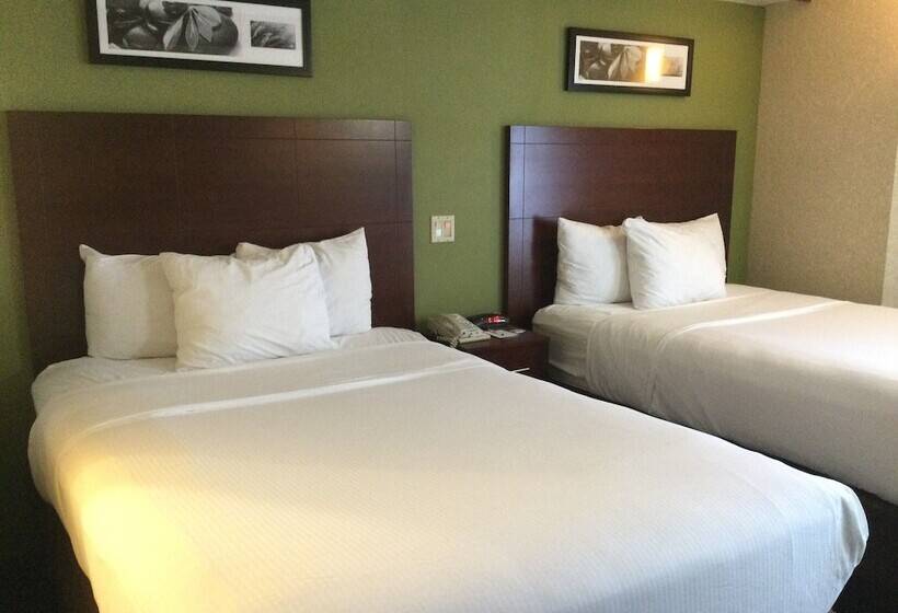 فندق Baymont By Wyndham Flat Rock