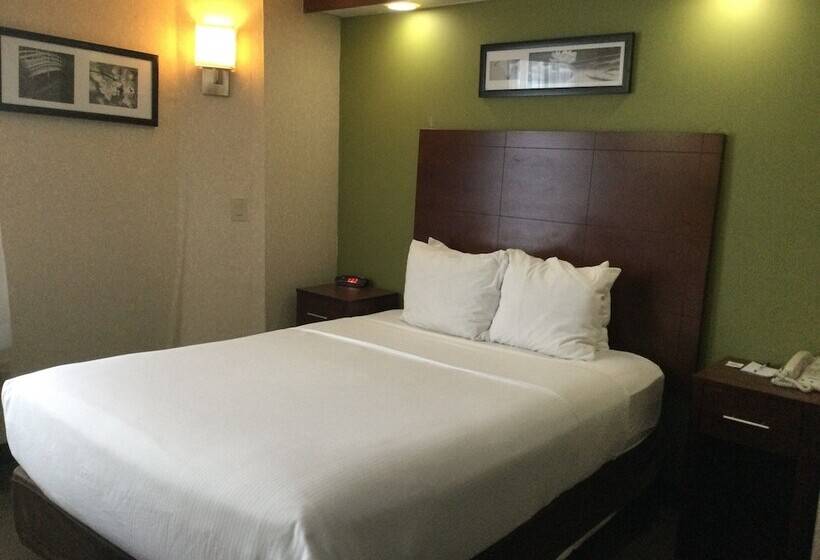 فندق Baymont By Wyndham Flat Rock