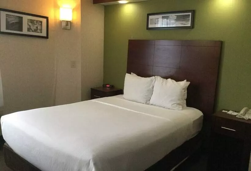 酒店 Baymont By Wyndham Flat Rock