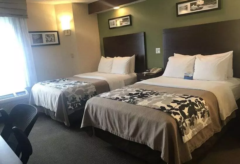 酒店 Baymont By Wyndham Flat Rock