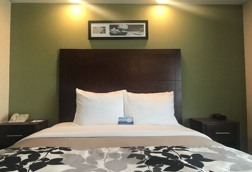 فندق Baymont By Wyndham Flat Rock