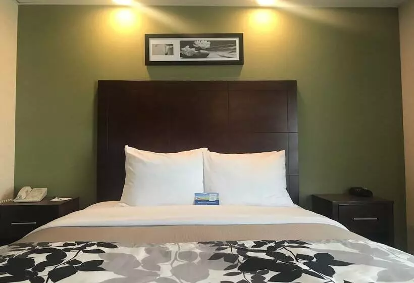 酒店 Baymont By Wyndham Flat Rock