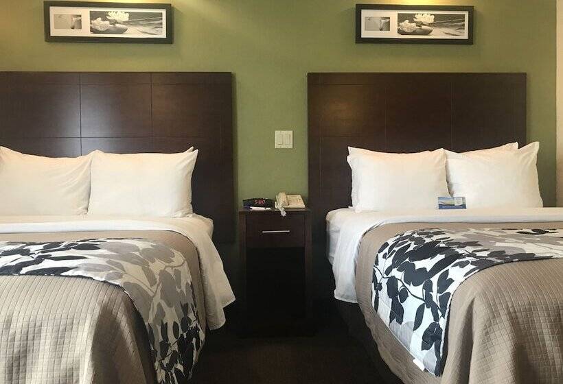 فندق Baymont By Wyndham Flat Rock