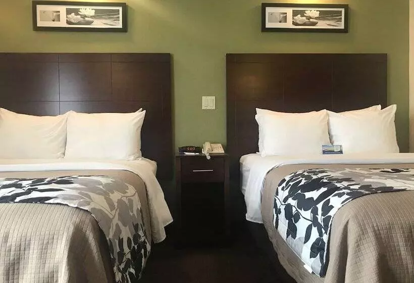 酒店 Baymont By Wyndham Flat Rock