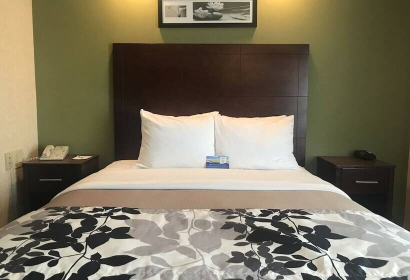 فندق Baymont By Wyndham Flat Rock