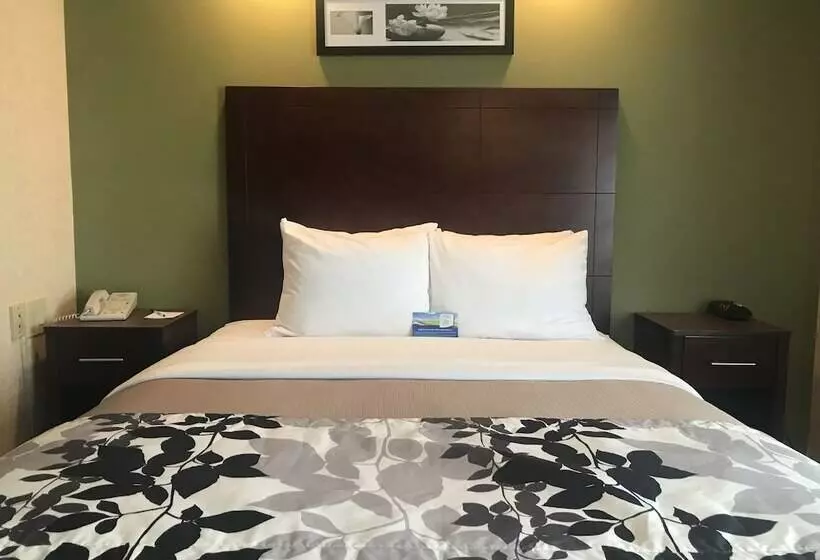 酒店 Baymont By Wyndham Flat Rock