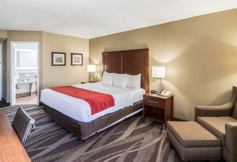 בית מלון כפרי Comfort Inn Pensacola  University Area