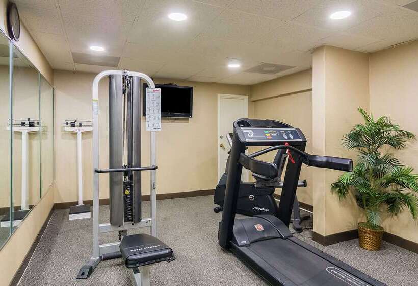 בית מלון כפרי Comfort Inn Pensacola  University Area