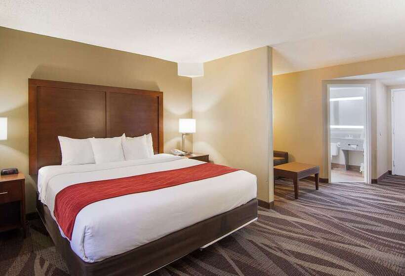 בית מלון כפרי Comfort Inn Pensacola  University Area