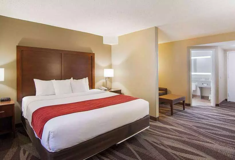 هتل Comfort Inn Pensacola  University Area