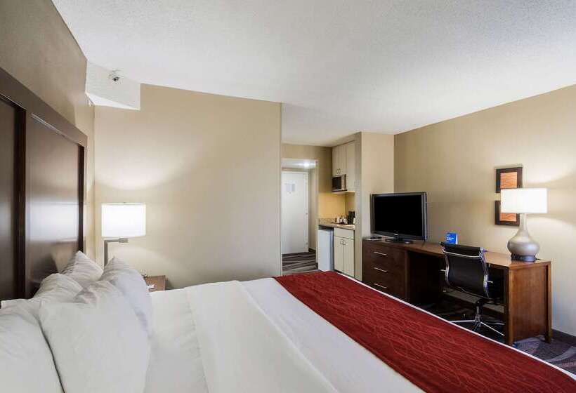 בית מלון כפרי Comfort Inn Pensacola  University Area