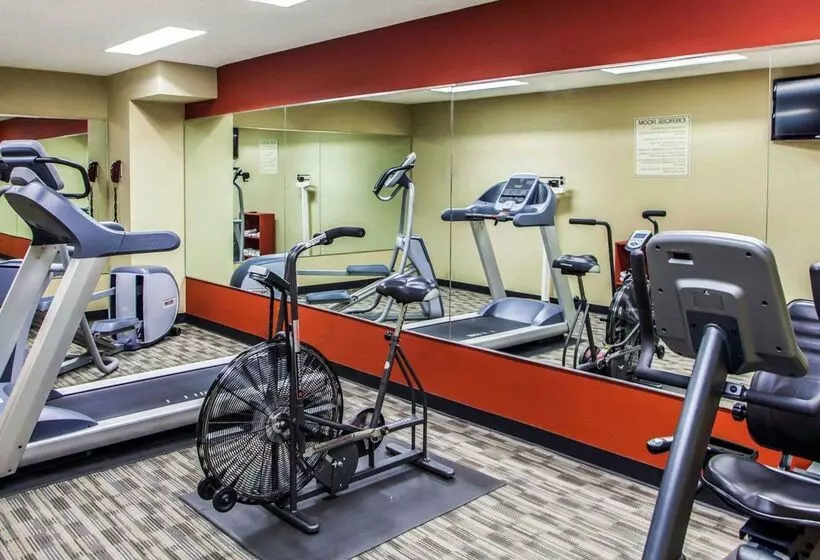 酒店 Quality Inn & Suites