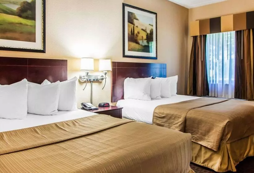 酒店 Quality Inn & Suites