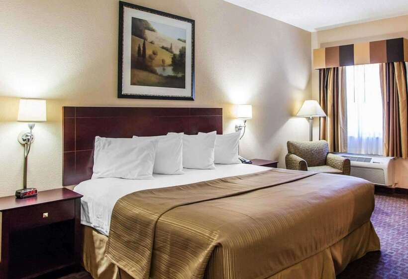 ホテル Quality Inn & Suites