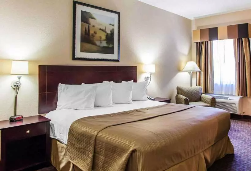 酒店 Quality Inn & Suites