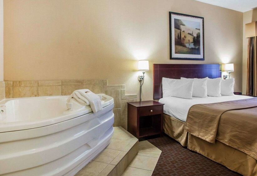 ホテル Quality Inn & Suites